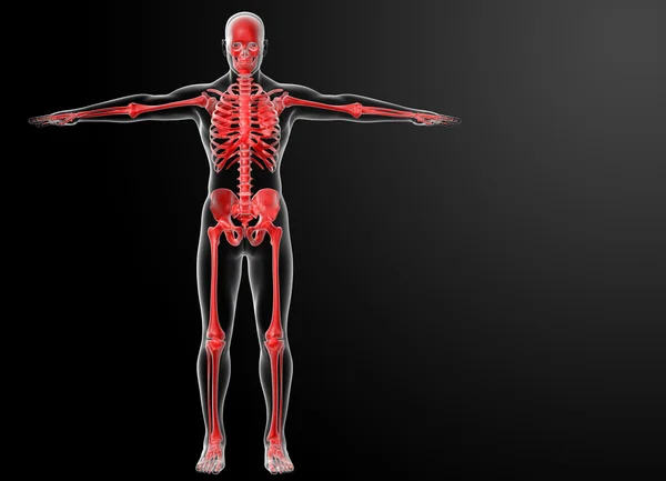 3d 렌더링 된 빨간 해골 — 스톡 사진