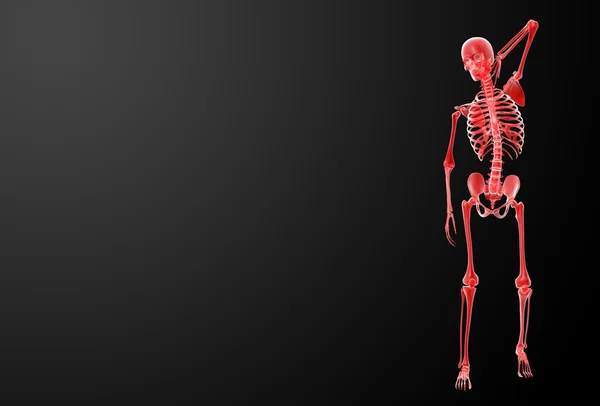 3d renderizar raios-X esqueleto — Fotografia de Stock