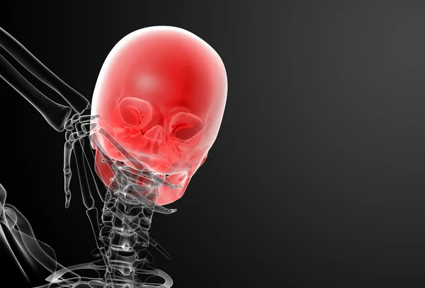 3D renderizar raios-X do crânio - visão traseira — Fotografia de Stock