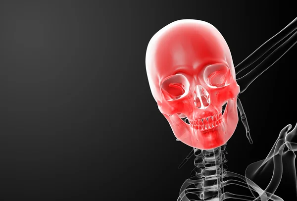 3d weergave schedel X-stralen - vooraanzicht — Stockfoto