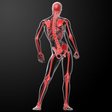 kırmızı x ışınları ile 3D render iskelet