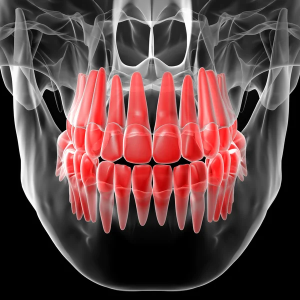 Cráneo con dientes rojos visibles —  Fotos de Stock