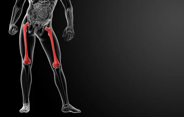 3 d レンダリングされたイラスト - 大腿骨骨 — ストック写真