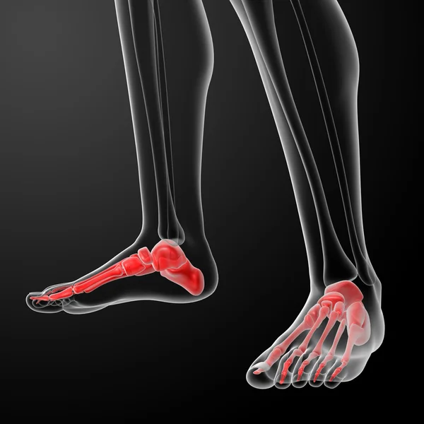 3d render x-ray dari kaki — Stok Foto