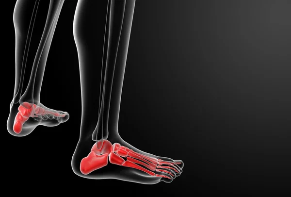 3d renderizar rayos X de pie —  Fotos de Stock