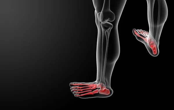 3d render x-ray of foot — Stock Photo, Image