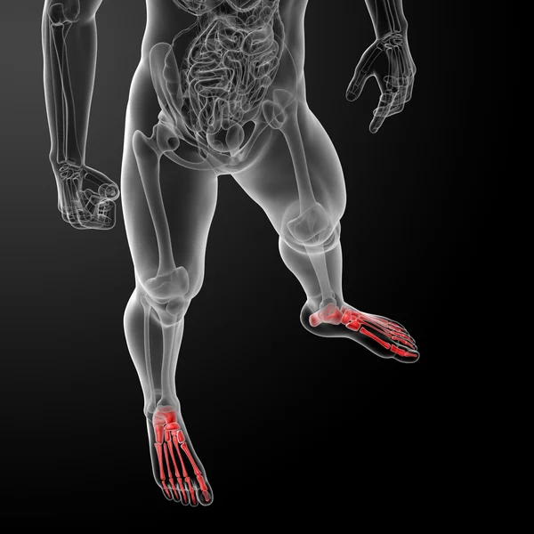 3d render x-ray of foot — Stock Photo, Image