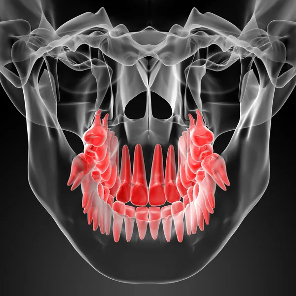 Cráneo con dientes rojos visibles —  Fotos de Stock