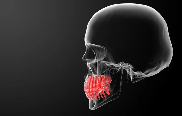 Teschio con denti rossi visibili — Foto Stock