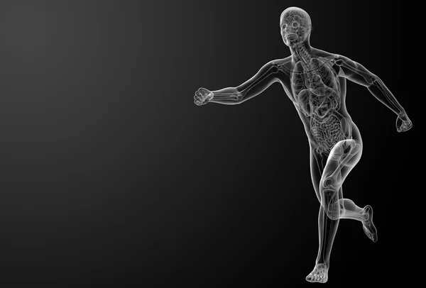 Kör människans anatomi av röntgen — Stockfoto