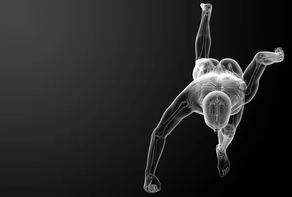 Running human anatomy by X-rays — Stock Photo, Image