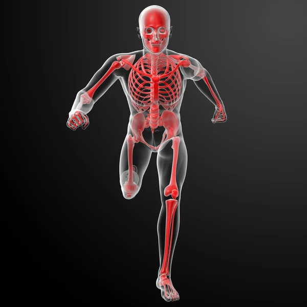 Running skeleton by X-rays in red — Stock Photo, Image