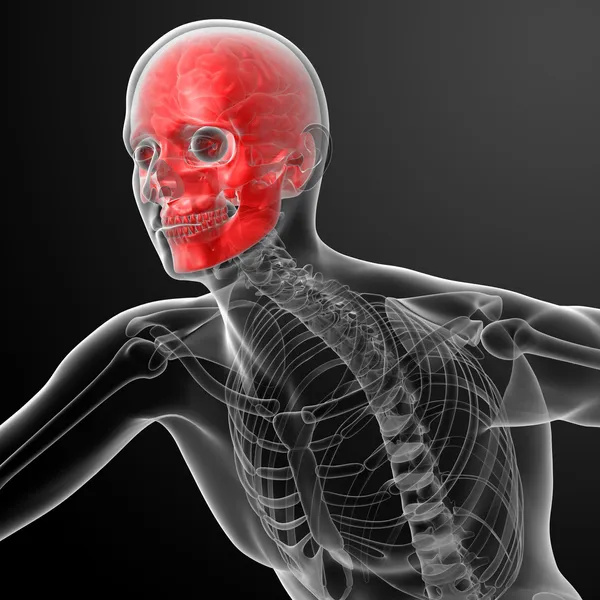 Raio X do crânio humano em vermelho — Fotografia de Stock