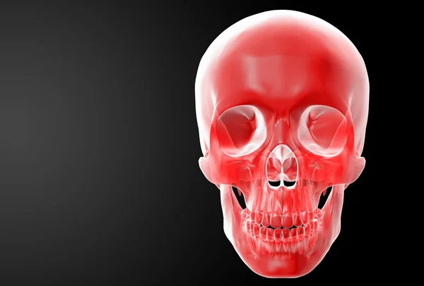 Crânio vermelho — Fotografia de Stock