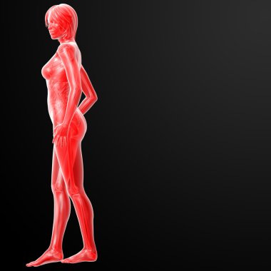 işlenmiş illüstrasyon kadın