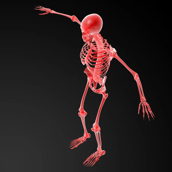 3d rendered red skeleton — Stock Photo, Image