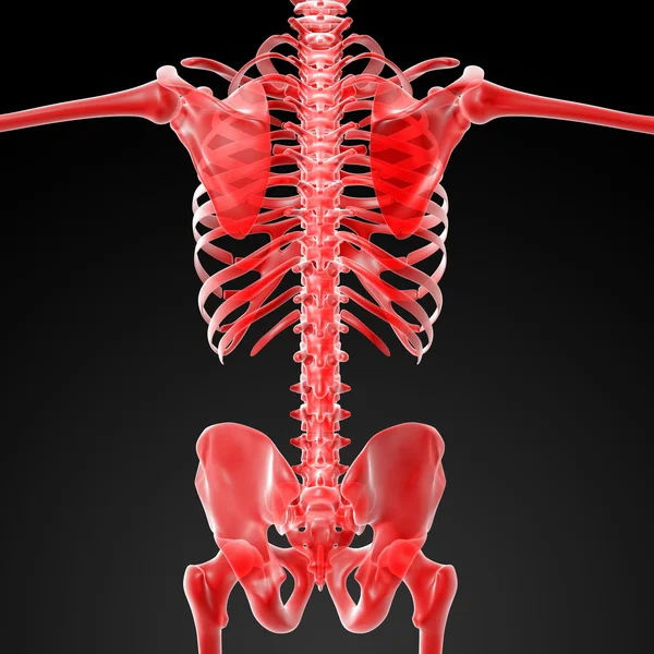 3d renderizado esqueleto rojo — Foto de Stock