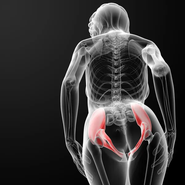 3 d レンダリング女性肩甲骨の骨 — ストック写真