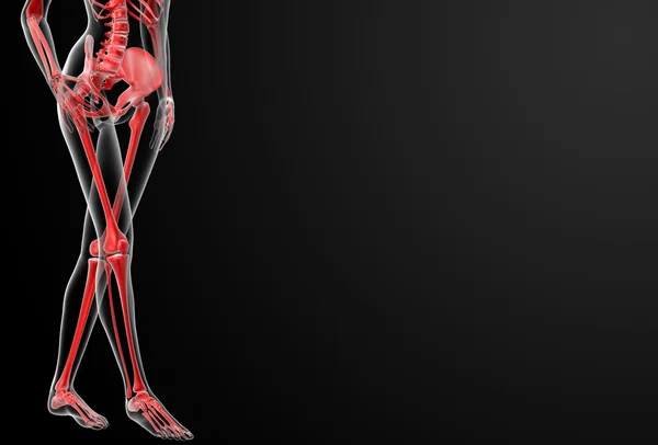 3D render av kvinnliga skelettet — Stockfoto