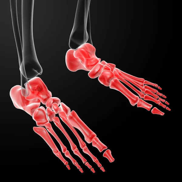3 d レンダリングの人間の足の x 線 — ストック写真