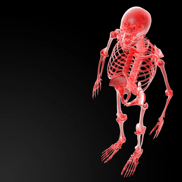 3D gerenderte Darstellung des Skeletts — Stockfoto