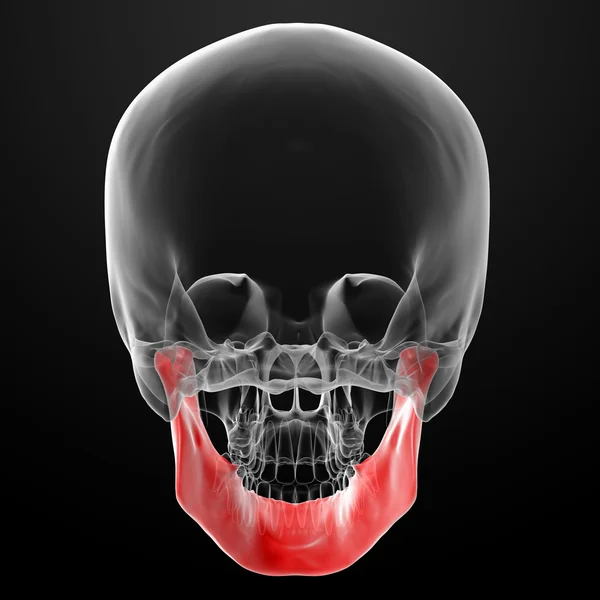Crânio Humano. Metade superior . — Fotografia de Stock