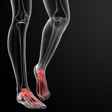 ayak kemiği