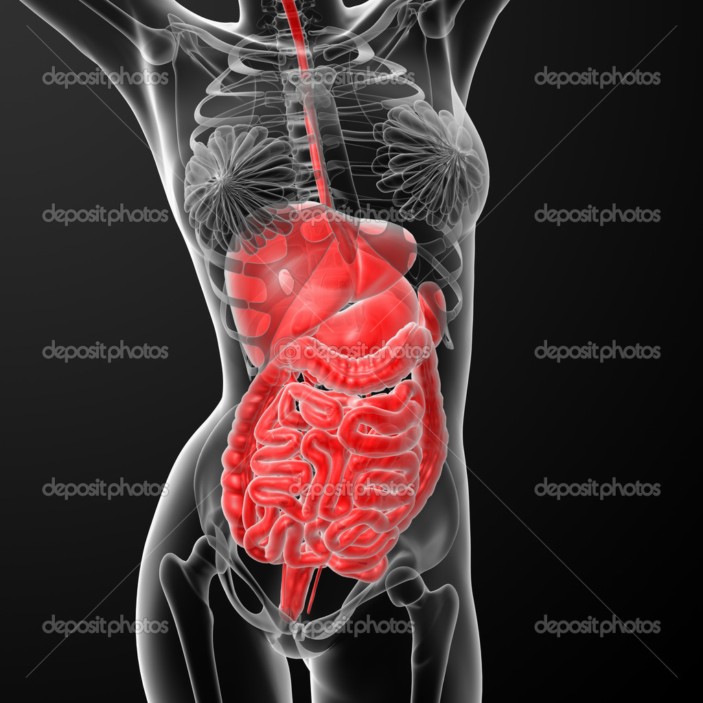 Женщина внутри. Матка с ребенком в разрезе. Расположение ребенка на 9 месяце. Женская энергия. Женщина вселенная.