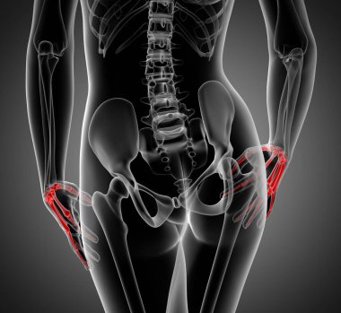 işlenmiş illüstrasyon kadın el kemik - arkadan görünüm