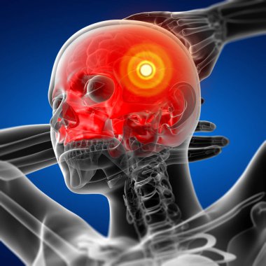 3D render illüstrasyon kadın kafatası kemik - üst yarısı - alt görünümü