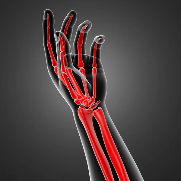 Render Illustration Hand Skeleton — Stock Photo, Image