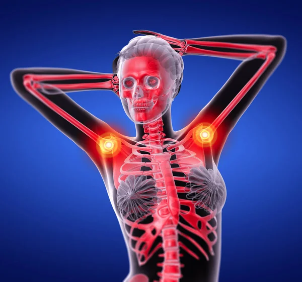 Render Medical Illustration Female Skeleton Front View — Stock Photo, Image