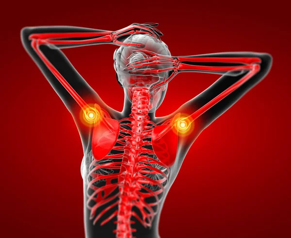 Render Medical Illustrstion Female Skeleton Back View — Stock Photo, Image