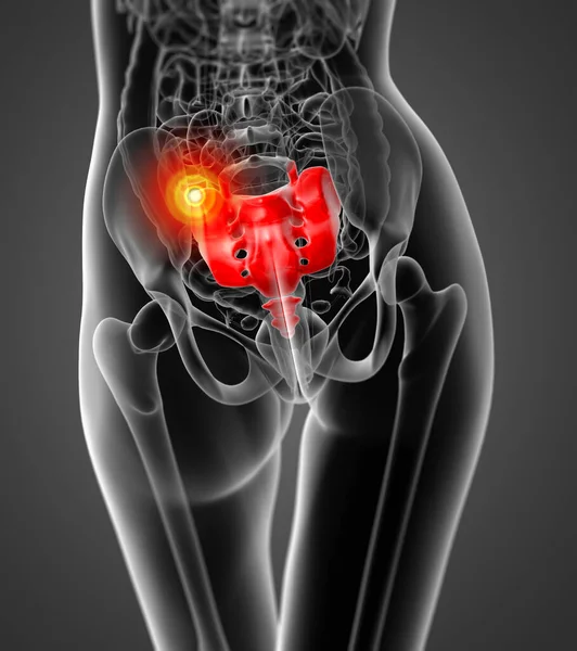 Maken Medische Illustratie Van Het Vrouwelijke Sacrum Bot Achteraanzicht — Stockfoto