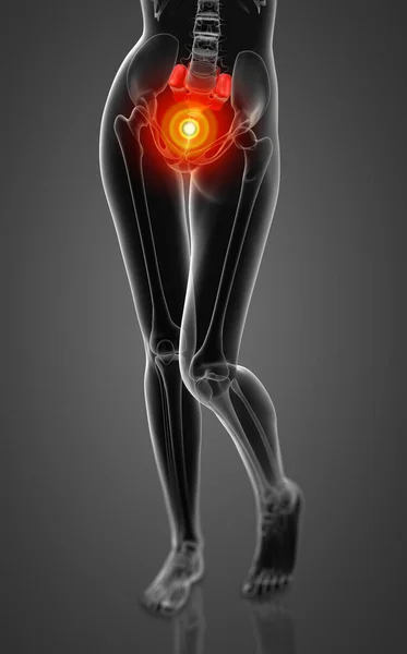 女性の仙骨骨 正面の レンダリング医療イラスト — ストック写真