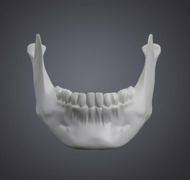 işlenmiş illüstrasyon - çene kemiği