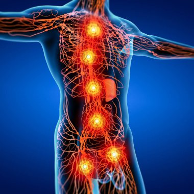 3d render orange lymphatic system - side view clipart