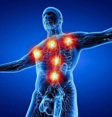 3D render mavi lenfatik sistem - alttan görünüm