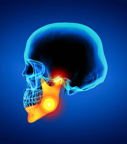 Рендеринг Иллюстрации Челюсть Кости Вид Сбоку — стоковое фото