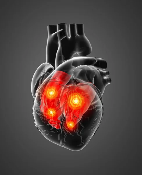 Render Heart Atrium Back View — Stock Photo, Image