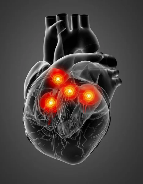 Render Heart Valve Side View — Stock Photo, Image