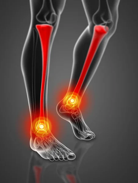 Render Illustration Tibia Front View — Stock Photo, Image