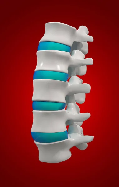 Rendered Illustration Lumbar Side View — Stock Photo, Image