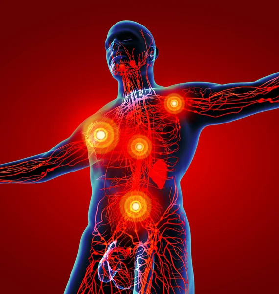 Render Red Lymphatic System Bottom View — Stock Photo, Image