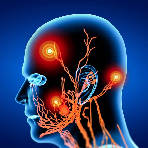 Rende Orange Lymphatic System Side View — Stock Photo, Image