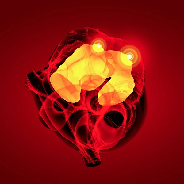 Render Heart Atrium Top View — Stock Photo, Image