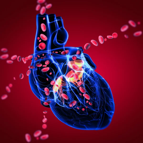 Render Heart Valve Blood Cells — Stock Photo, Image