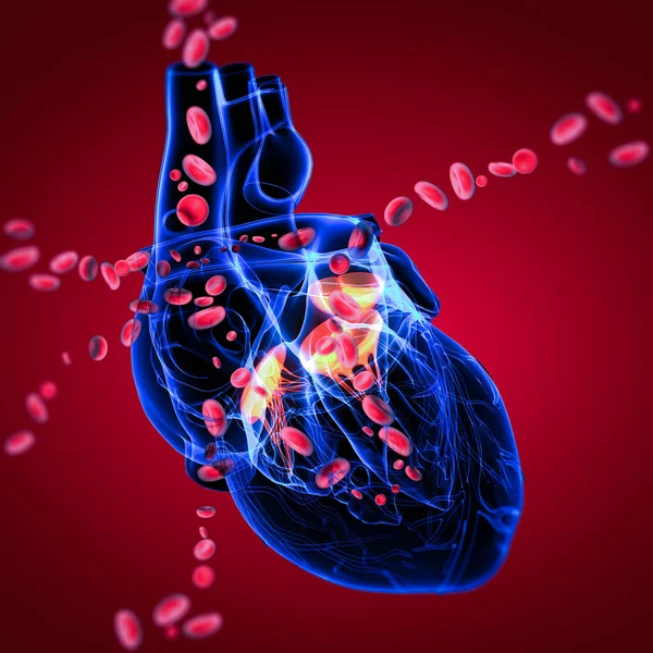 血液細胞と レンダリング心臓弁 ストックフォト