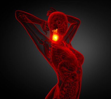 3D render Medikal illüstrasyon Servikal Omurga - yan görünüm