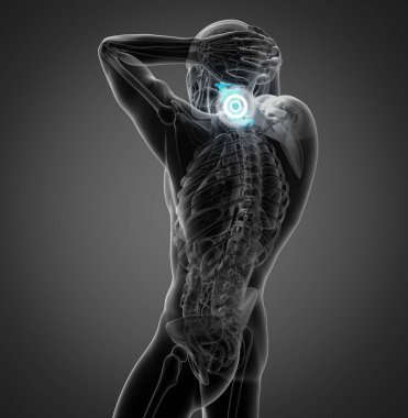 3D render Medikal illüstrasyon Servikal Omurga - yan görünüm